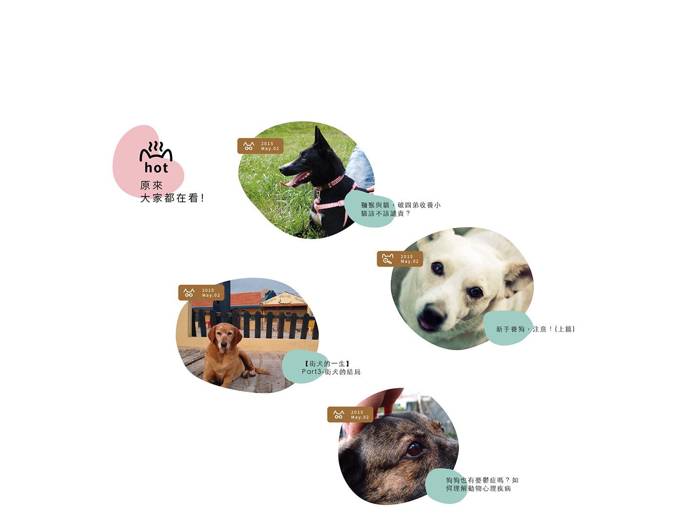 窩窩網站改版設計